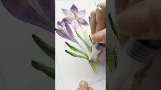 Botanical art tips how to mix colours using Albrecht Dürer Watercolour Marker colourless blender.