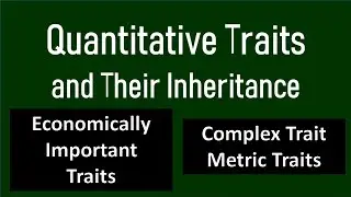 Quantitative Traits and Their Inheritance | Complex Traits | Metric Traits | Measurable Traits