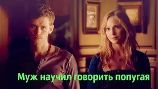 ► Klaus and Caroline (+Damon, Stefan, Alaric)║ Муж научил говорить попугая