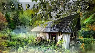 abandoned house far in the forest
