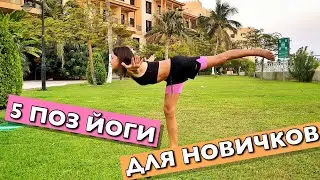 5 базовых поз йоги для новичков