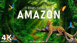 Amazon 4K - The World’s Largest Tropical Rainforest | 4K Relaxing Music & Beautiful Nature Scenes