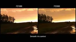 Introducing LUMIX FZ2000/FZ2500 Video Performance I