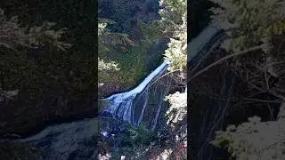 Naches, WA - Clear Creek Falls Overlook on the White Pass Scenic Byway #waterfall #overlook #Scenic