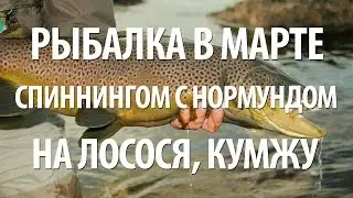 ВЕСЕННЯЯ СПИННИНГОВАЯ РЫБАЛКА в МАРТЕ на КУМЖУ, ЛОСОСЯ с НОРМУНДОМ ГРАБОВСКИСОМ