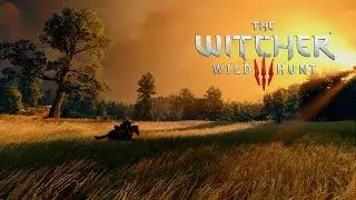 The World Of The Witcher 3: Wild Hunt