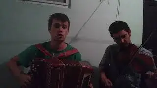 Летящей походкой - "Антонов" кавер на баяне и скрипке