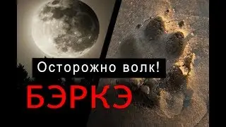 Охота на волка в Якутии. Осторожно волк!