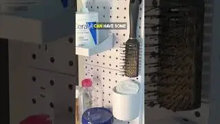 2 Suprisingly amazing Dollar Tree Organizing Products