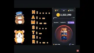 HOW to UNLOCK your 12th JUNE HAMSTER DAILY COMBO CARDS TODAY and CLAIM your 5 MILLION HAMSTER COIN