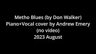 Metho Blues (by Don Walker) vocal cover by Andrew Emery