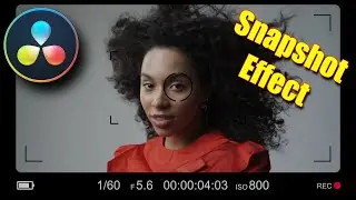 Snapshot Effect in DaVinci Resolve