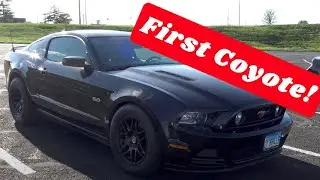 The Most Important Mustang? - First Coyote V8?