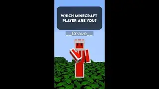 Which Minecraft player are you😳❓ #shorts