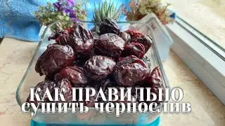 Я не покупаю ЧЕРНОСЛИВ! КАК ПРАВИЛЬНО сушить чернослив Без оборудования! Экономно. DRY PLUM DRYING