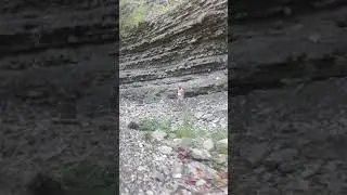 Водопады реки Наджиго