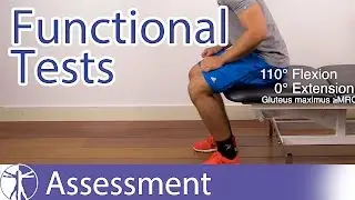 Functional Assessment in Physiotherapy