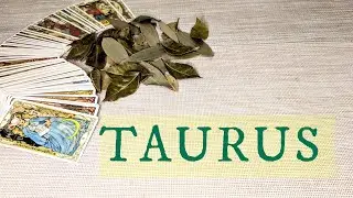 TAURUS - An Unexpected Shift That Changes Your World! SEPTEMBER 2nd-8th