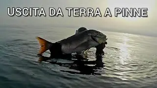 Pescasub: PESCIONE DA RIVA - Spearfishing - AKASO