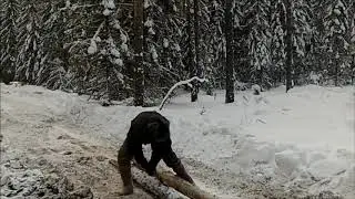 Вилли  Токарев  -- 