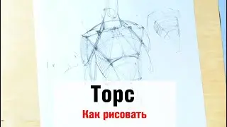 Как рисовать Торс - А. Рыжкин