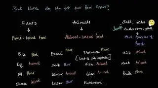 Where do we get our food from (Sources of Food) | Odia Class 6  | Science | Khan Academy