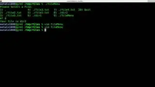 Custom File Selector in a Linux Shell Script tutorial Part 2