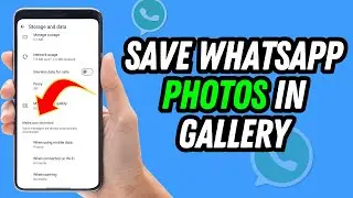 How To Save Whatsapp Photos in Gallery (Quick & Easy)