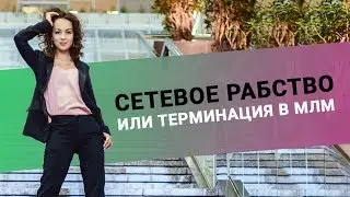 Можно ли совмещать сетевые компании. Работать в нескольких сетевых? Терминация в МЛМ