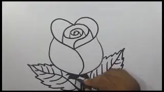 সহজে গোলাপ আঁকুন || How to Draw a rose an easy way 