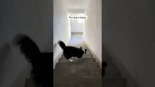 Развлекает себя 😦 