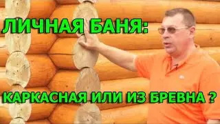 Баня из бревна или каркасная?