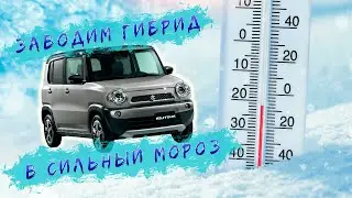 Заводим ГИБРИД в сильный мороз!