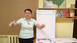 7 класс ВПР