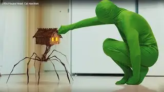 Little House Head VS Green Man