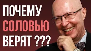 Разбор ПИАР-ПРИЁМОВ Соловья, принёсших ему популярность