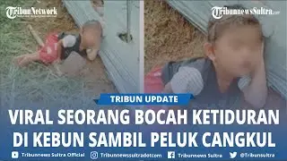 Video Viral Bocil Tidur Peluk Cangkul di Kebun, Bantalnya Pakai Gundukan Tanah