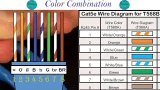 Making Ethernet  (LAN or Internet) cable with RJ45 & Cat 6 cable 2019. (Bangla Tutorial)