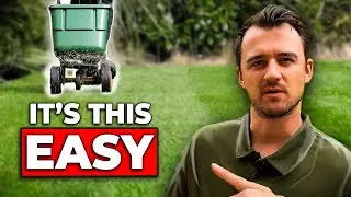 7 Highly Effective Autumn Lawncare Tips