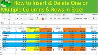 How to Insert & Delete One or Multiple Columns & Rows in Excel