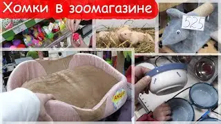 Хомки в зоомагазине. Дарим покупки животным