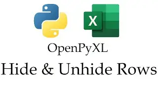 OpenPyXL - Hiding/Unhiding Rows in Excel Workbooks with Python | Data Automation