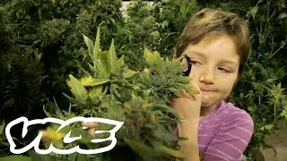 Medical Marijuana for Minors