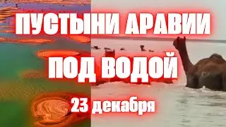 Вы не поверите! Саудовская Аравия превращается в огромное море сегодня Пустыня уходит под воду