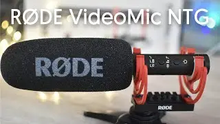 Best On-Camera Shotgun Mic? The Rode VideoMic NTG vs VideoMic Go