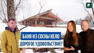 Баня мечты из сухостойной сосны кело: как построить баню, в которой можно жить? // FORUMHOUSE