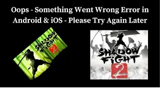 Shadow Fight 2   App Oops - Something Went Wrong Error in Android & iOS Phones