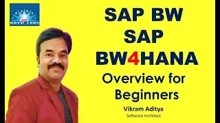 SAP BW Overview for Beginners