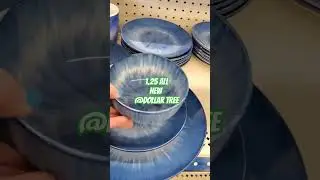 OMG ORGANIZE & DECLUTTER THE CUPBOARDS IN YOUR KITCHEN DOLLAR TREE MADE NEW DISHES 1.25
