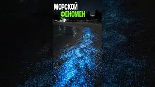 Морской феномен светящейся воды 